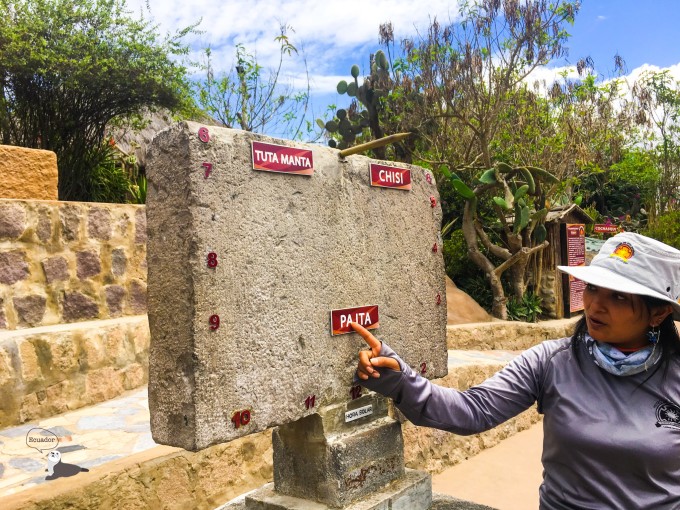 厄瓜多尔选手夺冠个人竞赛完美收官