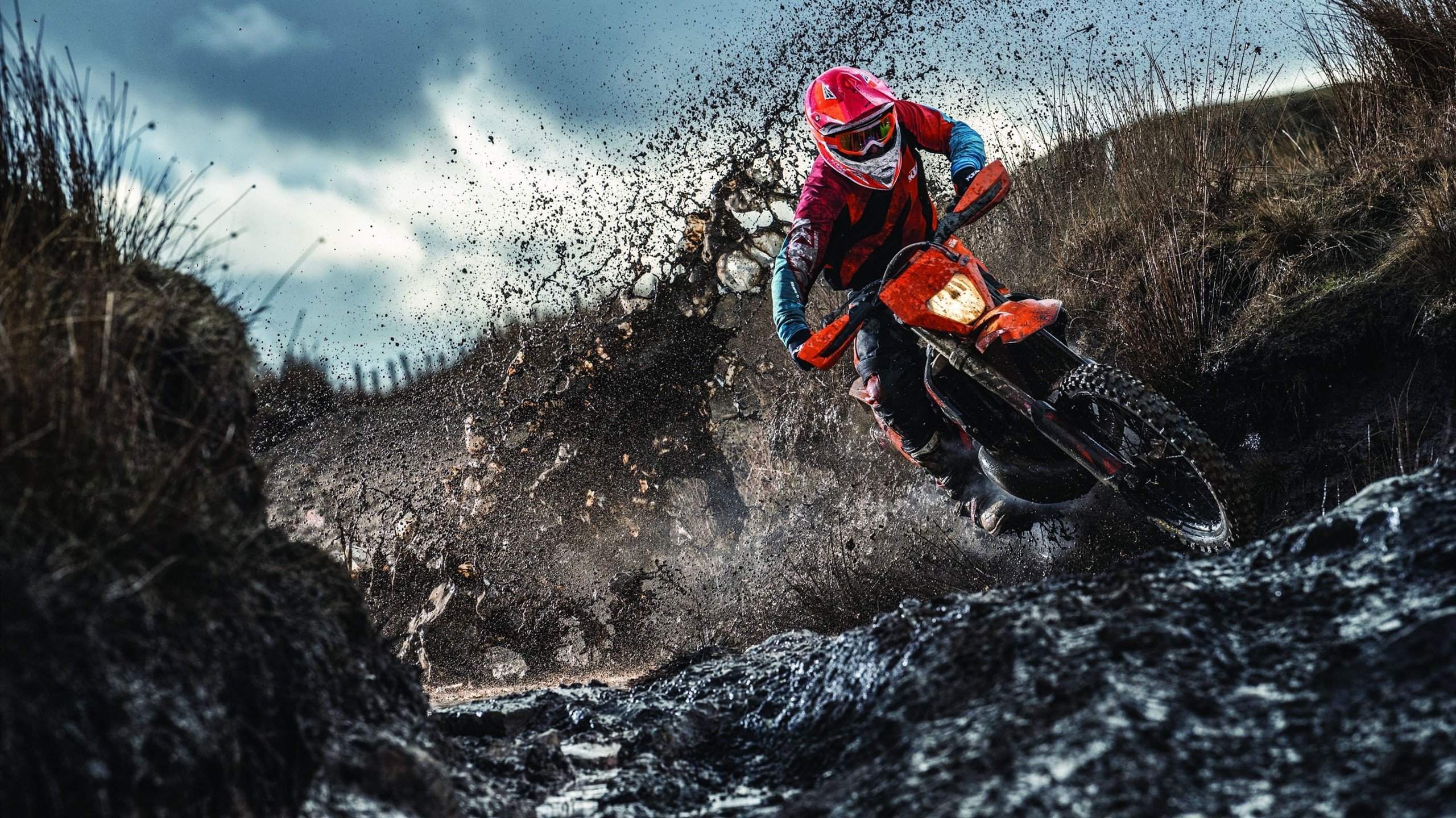 西决生死战焦点战,灰熊硬仗取胜雄鹿,青春风暴席卷联盟