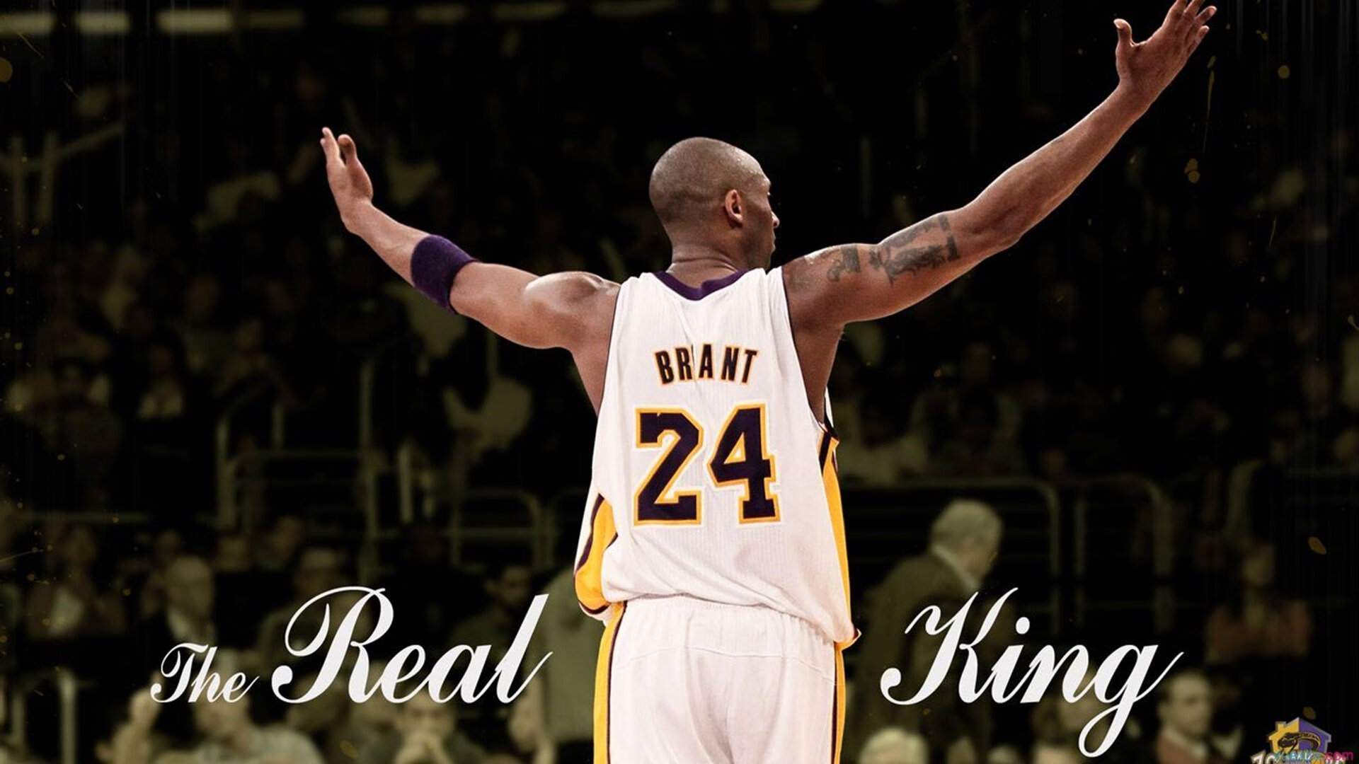 PG电子官网入口-维斯塔潘的绝对统治下，梅赛德斯如何上演对哈斯的战术逆转？